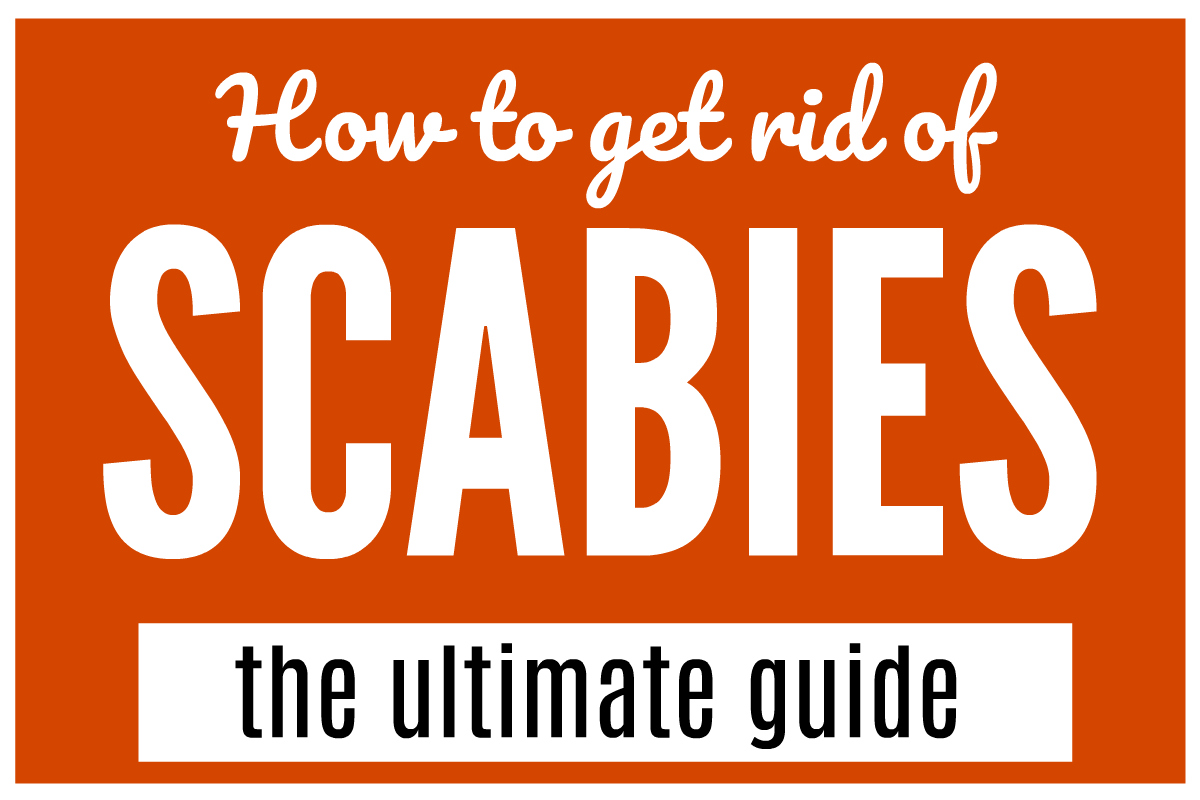 how to get rid of scabies